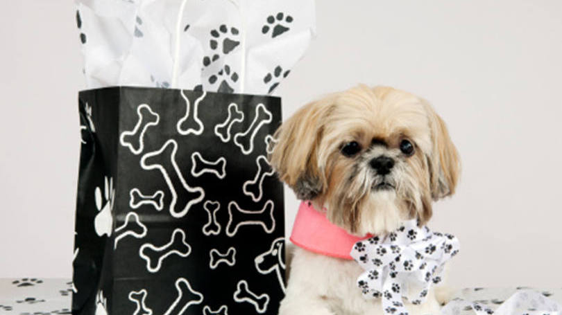 Cachorro com presentes: a Pet Clean exporta shampoos, condicionadores e hidratantes para animais de estimação (Foto: Getty Images)