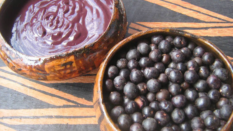 Açaí: a 100% Amazônia usa plataforma online como vitrine do empreendimento para o mundo (Foto: Divulgação/100% Amazônia)