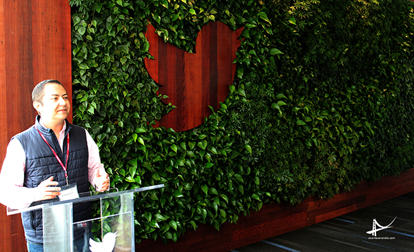 a magia do mundo dos negócios